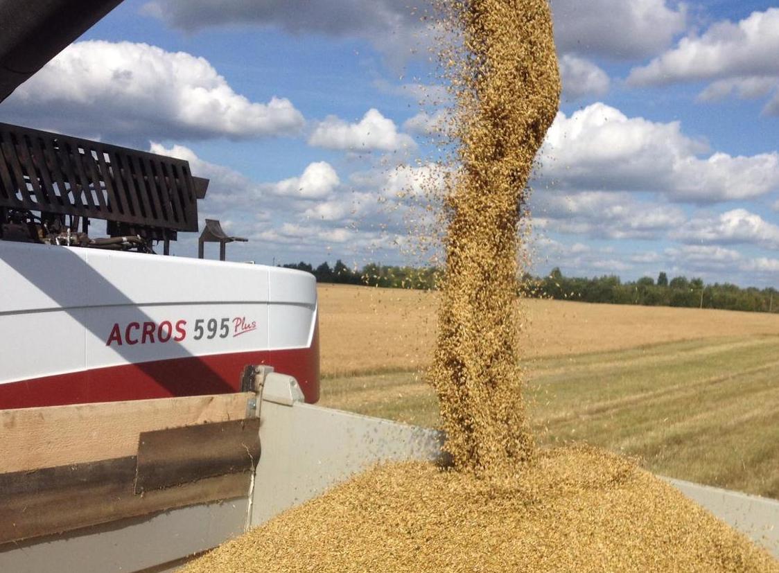 <span style="font-weight: bold;">Люпин, шрота, жмыхи</span><br>